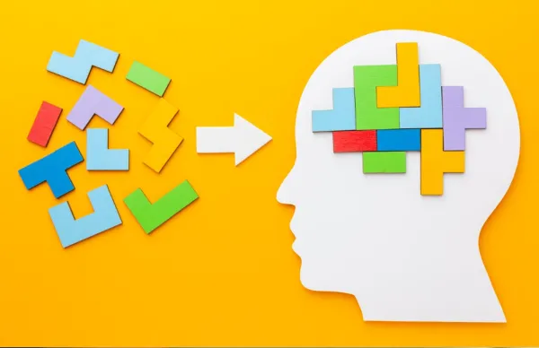 Akıl ve Zeka Oyunları Eğitimi