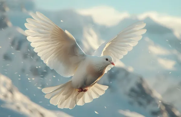 Cenaze Hizmetleri (Gassallık) Eğitimi